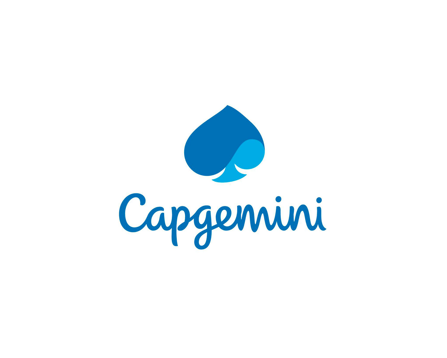 ./images/logos/capgemini.jpg